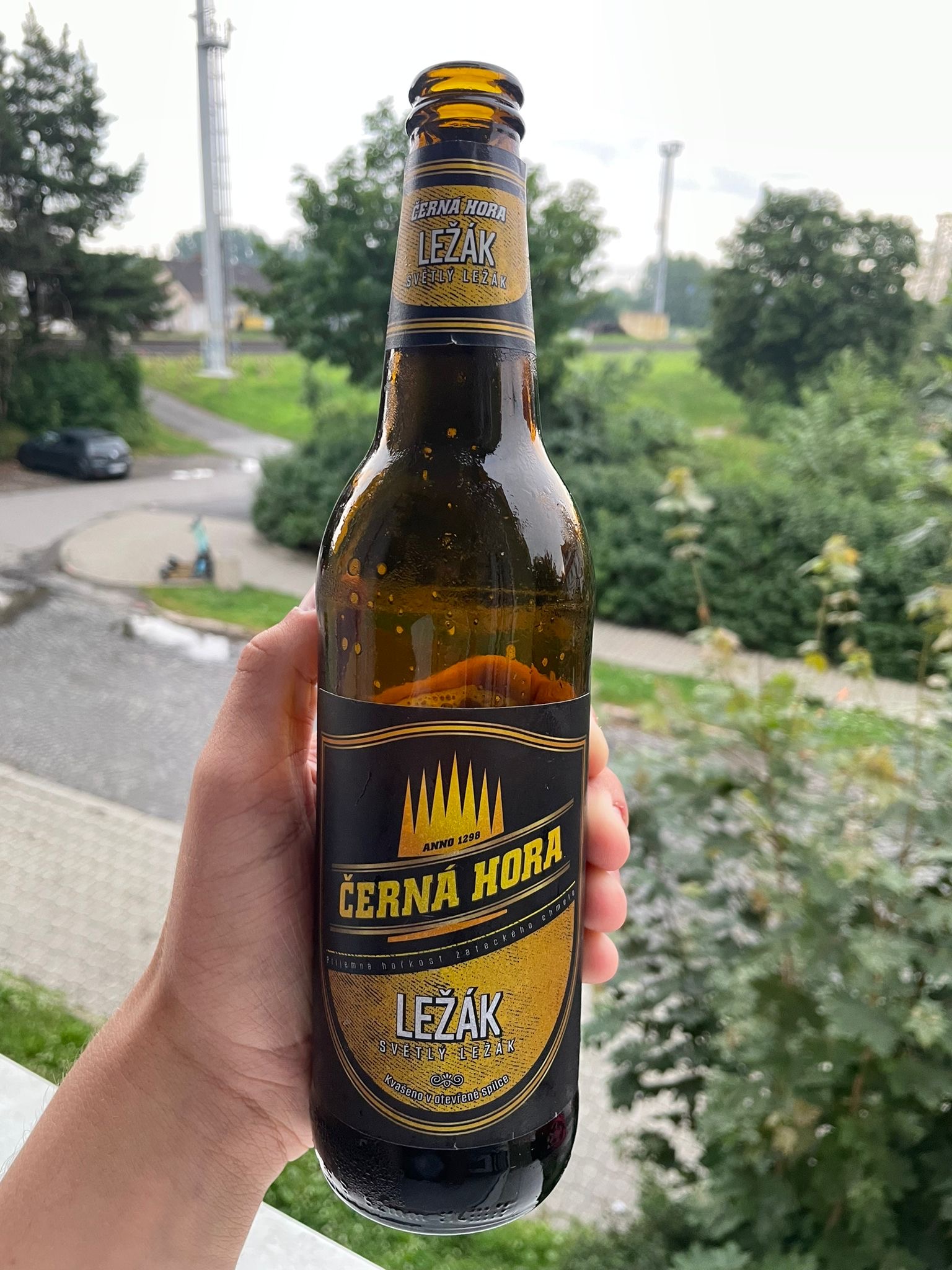 Beispielgetränk Bier