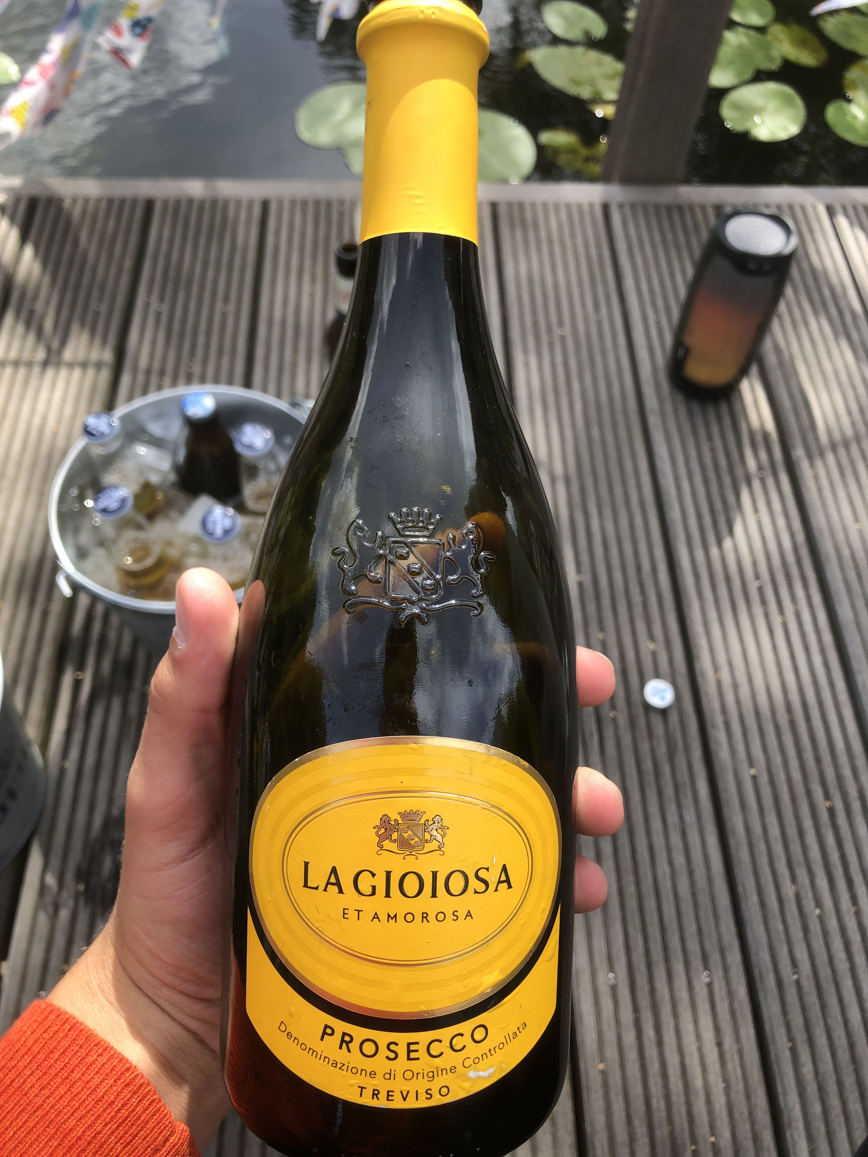 Beispielgetränk Prosecco