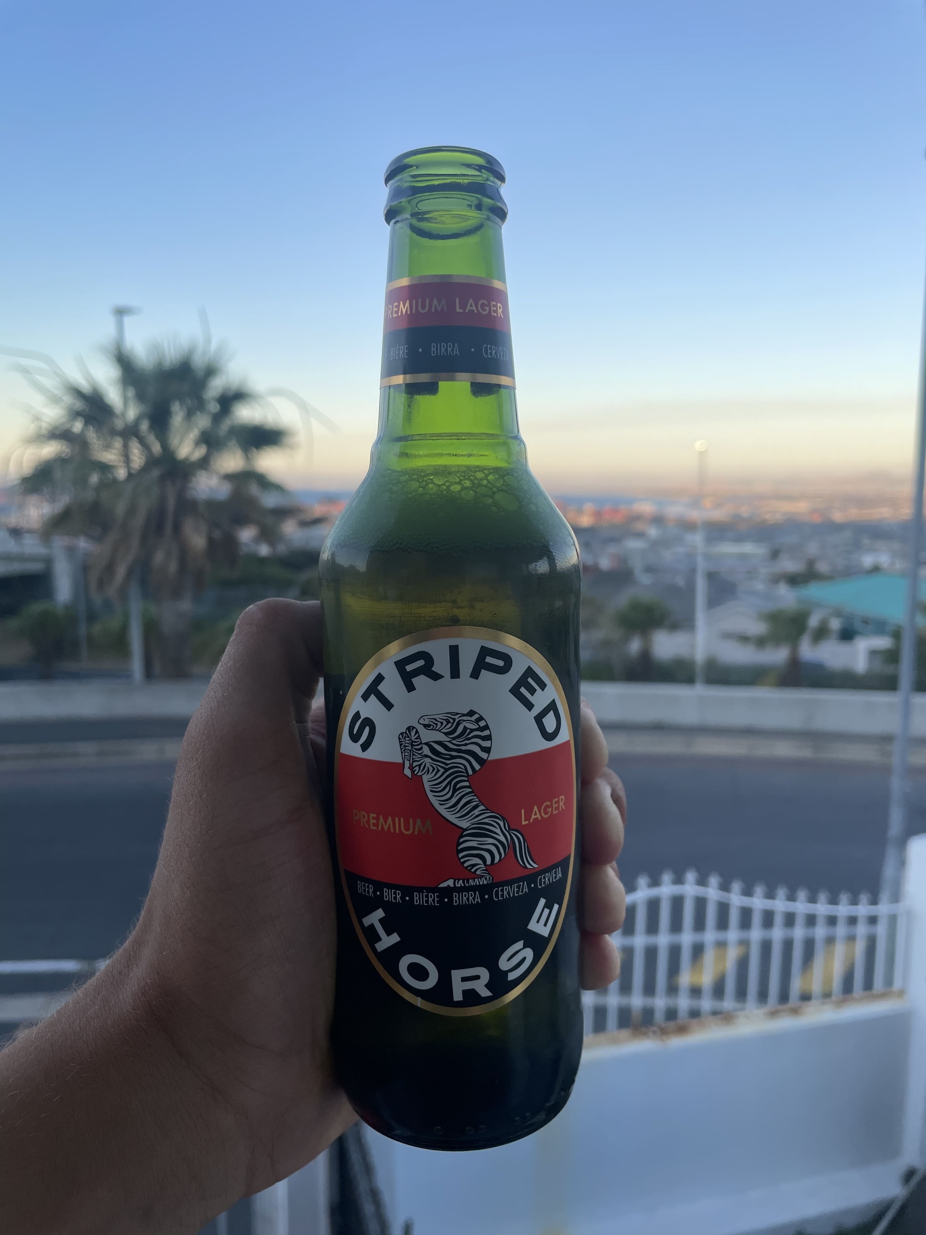 Beispielgetränk Bier